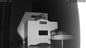 Caméra IP - US