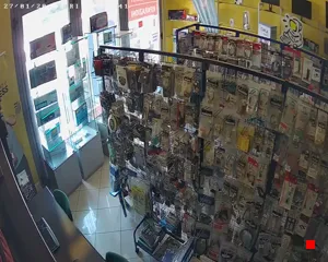 Caméra IP - IT