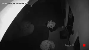 Caméra IP - DE