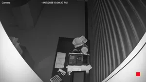Caméra IP - IT