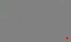 Caméra IP - ES