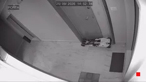 Caméra IP - IT