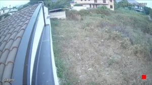 Caméra IP - IT
