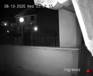 Caméra IP - IT