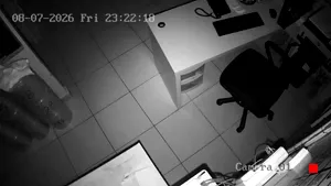 Caméra IP - MX