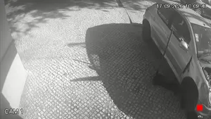 Caméra IP - PT