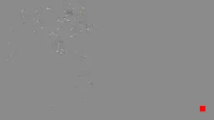 Caméra IP - IT