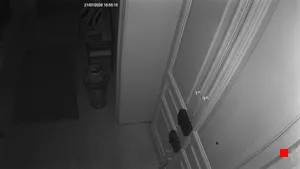 Caméra IP - IT