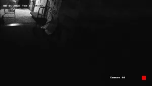Caméra IP - US
