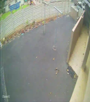 Caméra IP - ZA