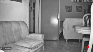 Caméra IP - ES