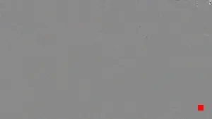 Caméra IP - US