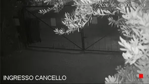 Caméra IP - IT