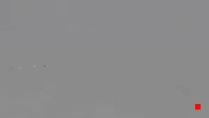 Caméra IP - US