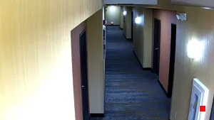 Caméra IP - US