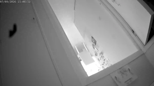Caméra IP - NO