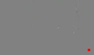 Caméra IP - US