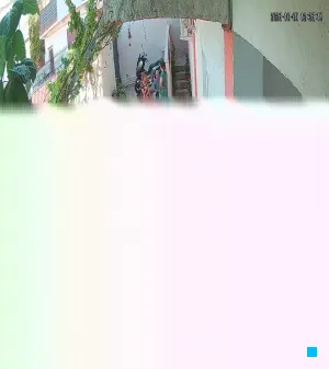 Caméra IP - DZ