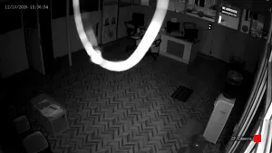 Caméra IP - IN