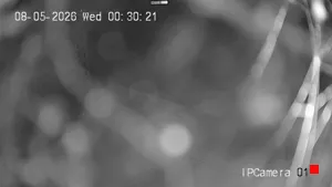 Caméra IP - FR