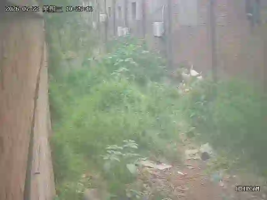 Caméra IP - CN