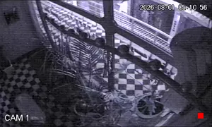 Caméra IP - IR