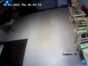 Caméra IP - IN