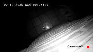Caméra IP - US