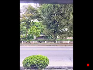 Caméra IP - BR