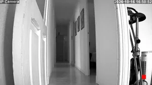 Caméra IP - ES