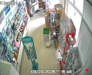 Caméra IP - GR
