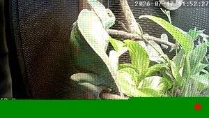 Caméra IP - AE