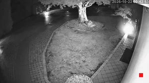Caméra IP - IT