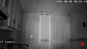 Caméra IP - US