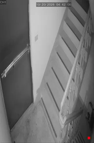Caméra IP - TW