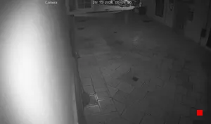 Caméra IP - IT