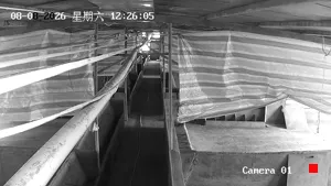 Caméra IP - CN