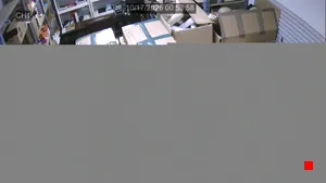 Caméra IP - US