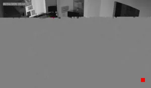 Caméra IP - US