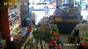 Caméra IP - CN