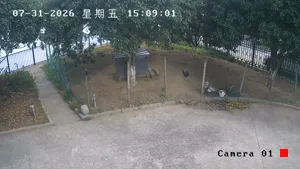 Caméra IP - CN