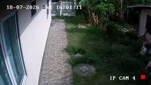 Caméra IP - TH