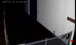 Caméra IP - IT