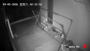 Caméra IP - CN