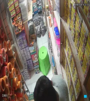 Caméra IP - IN