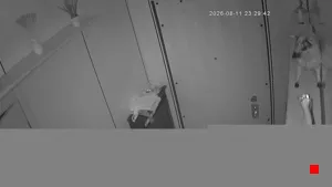 Caméra IP - IT
