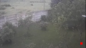 Caméra IP - ZA