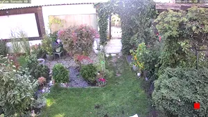 Caméra IP - DE