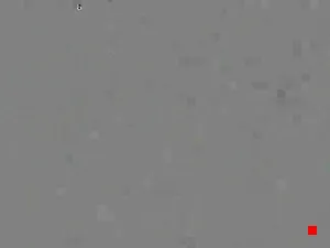 Caméra IP - HU