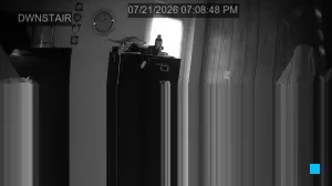 Caméra IP - US